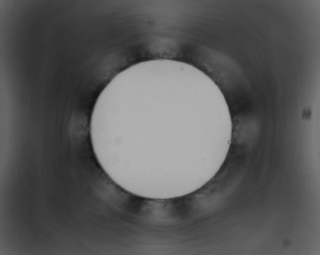 X0000101960713200807181041
