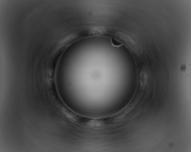 X0000101960714200807181041