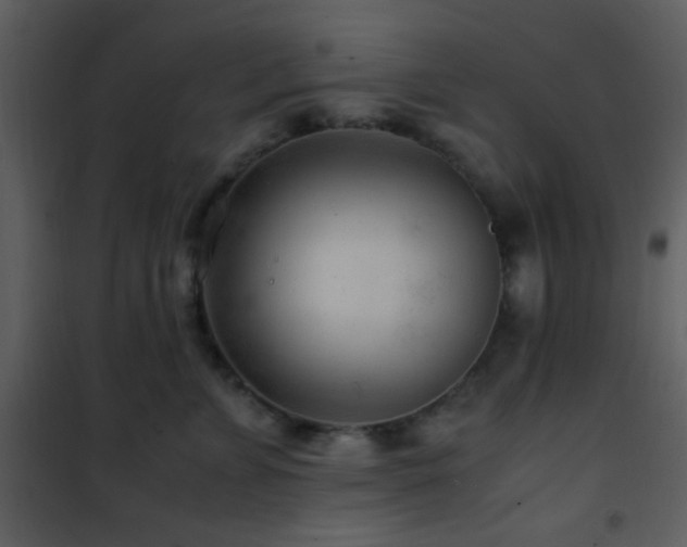 X0000101960715200807181041