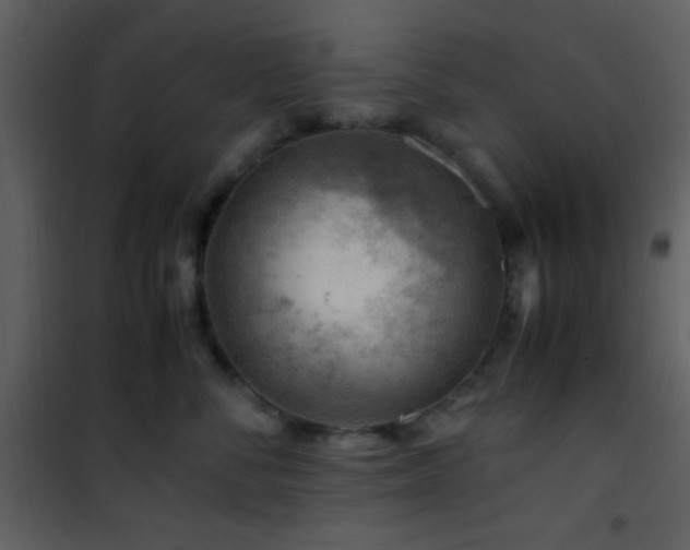 X0000101960716200807181041