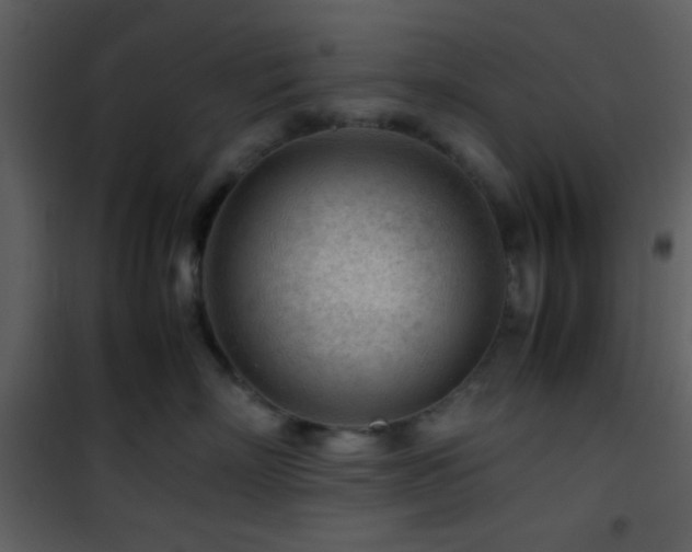 X0000101960718200807181040