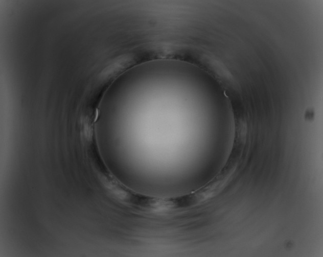 X0000101960719200807181040