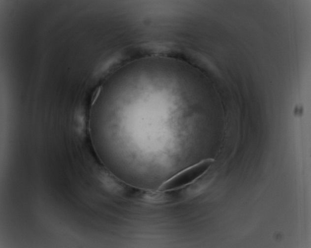 X0000101960720200807181040
