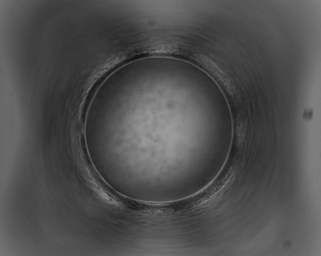 X0000101960721200807181040