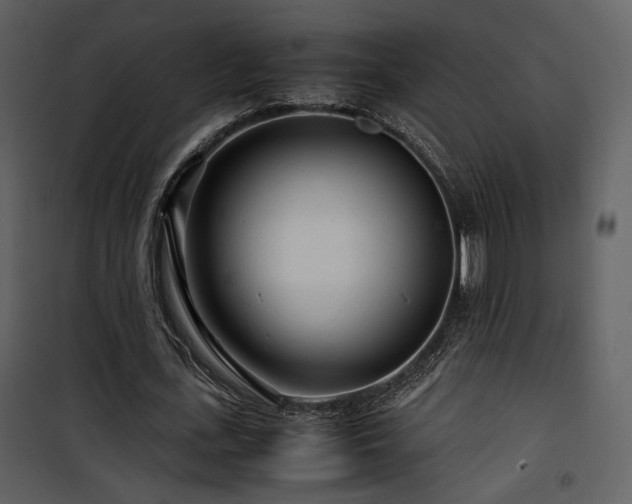 X0000101960723200807181040