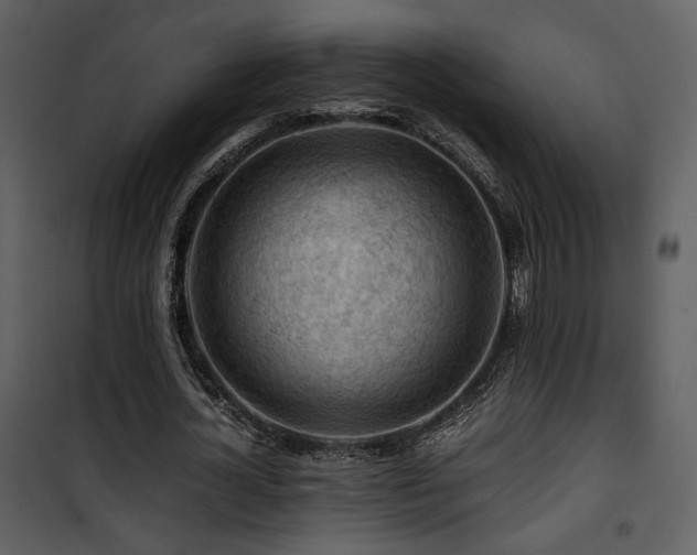 X0000101960724200807181040