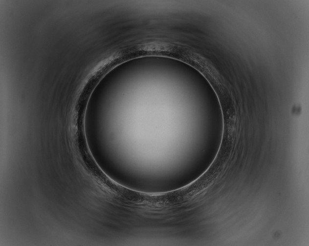 X0000101960727200807181040