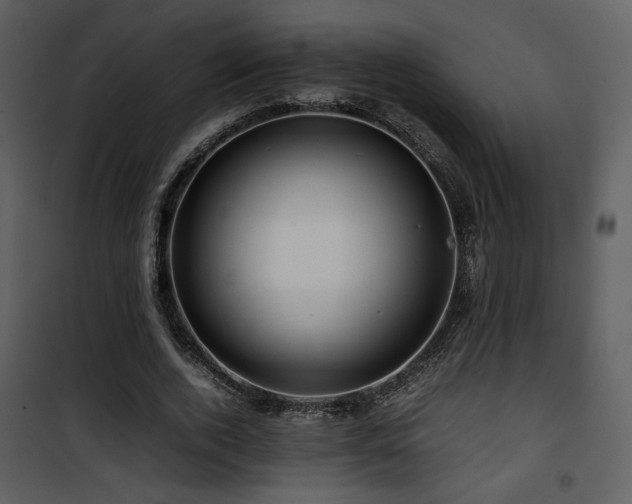 X0000101960728200807181040