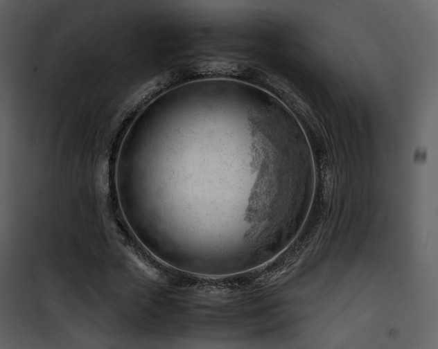 X0000101960729200807181040
