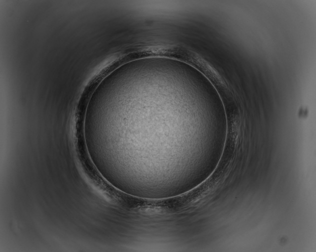X0000101960730200807181040