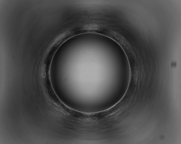 X0000101960731200807181040