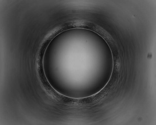 X0000101960732200807181040