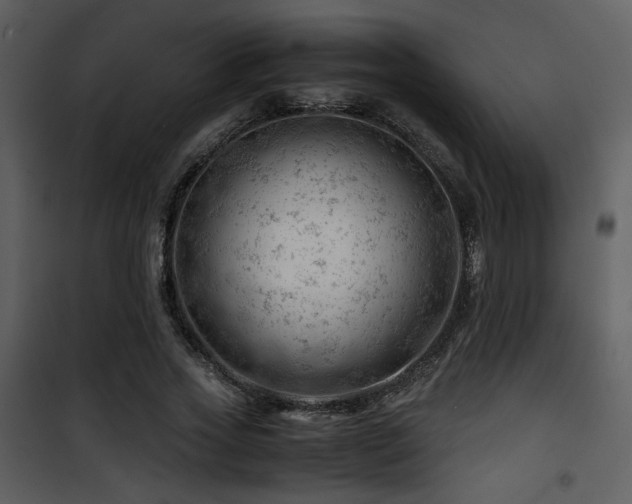X0000101960733200807181040
