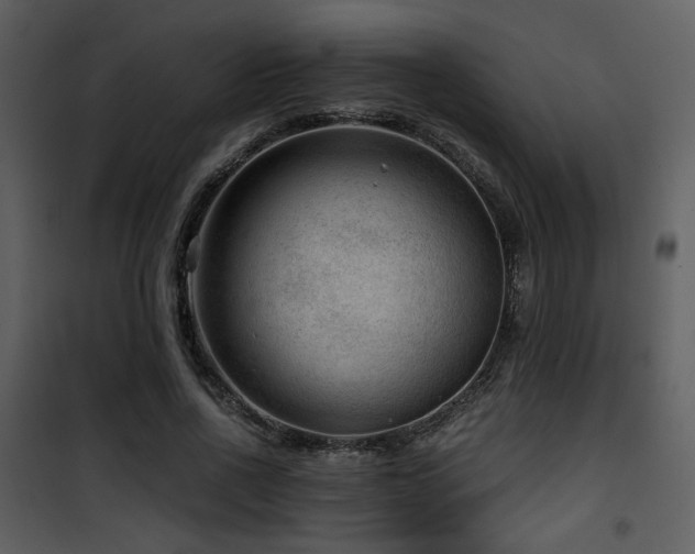 X0000101960734200807181040