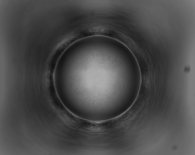 X0000101960735200807181040