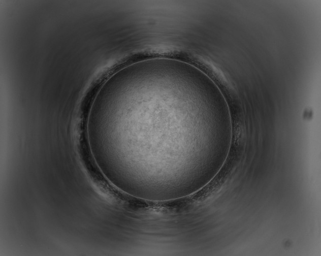 X0000101960736200807181040