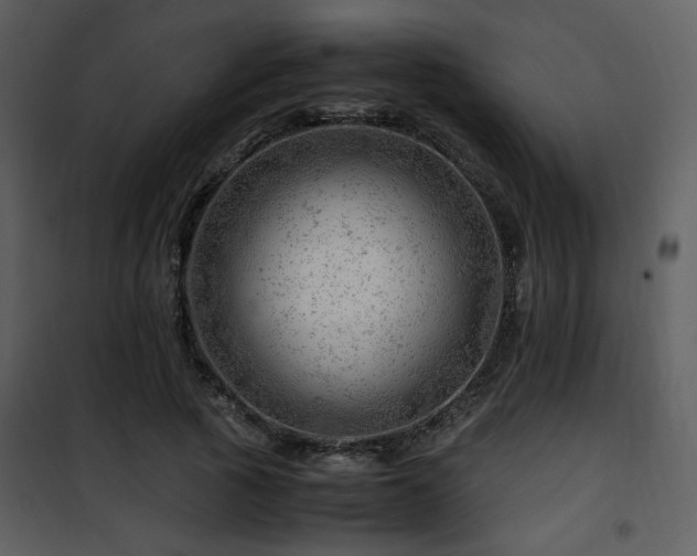 X0000101960737200807181040