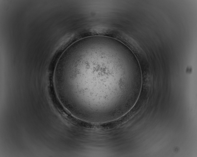 X0000101960738200807181040
