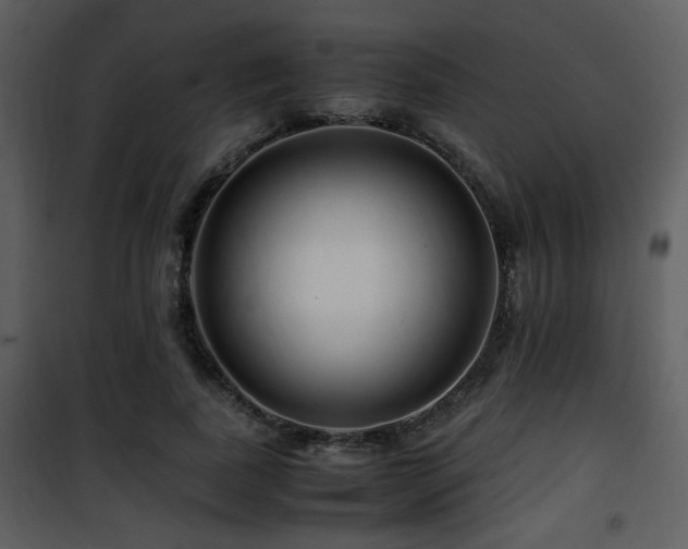 X0000101960739200807181040