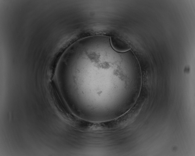 X0000101960742200807181040