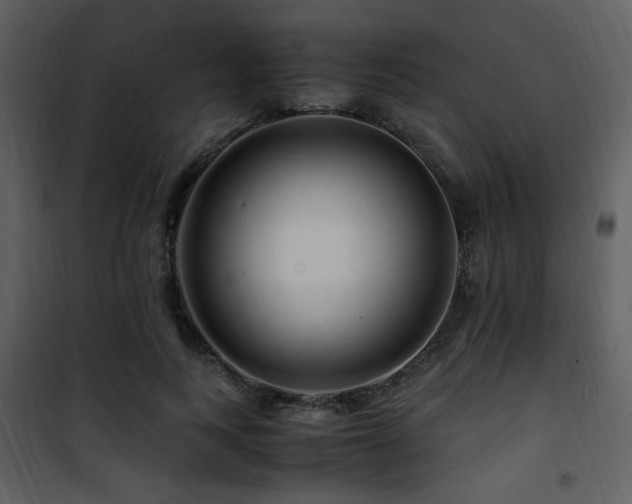 X0000101960743200807181040