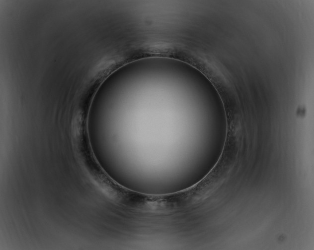 X0000101960744200807181040