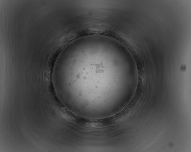 X0000101960745200807181040