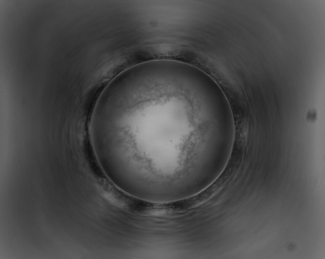 X0000101960746200807181040
