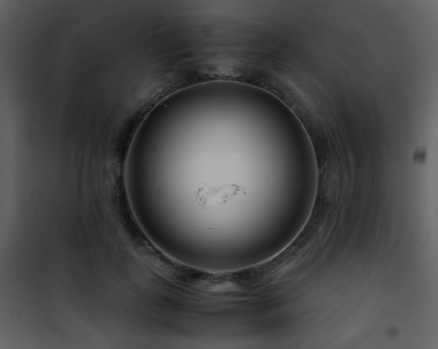 X0000101960747200807181040