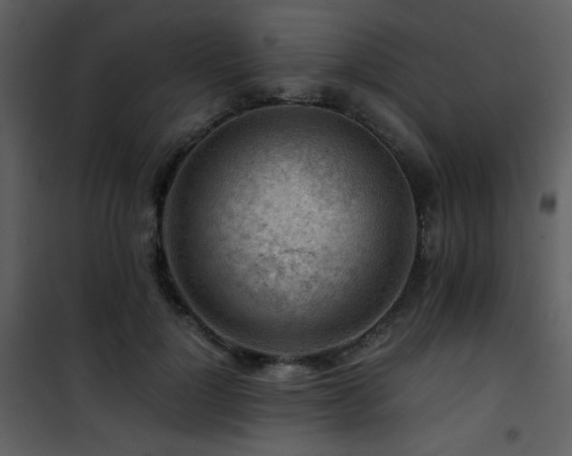 X0000101960748200807181040