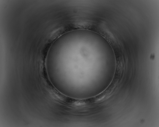 X0000101960749200807181040