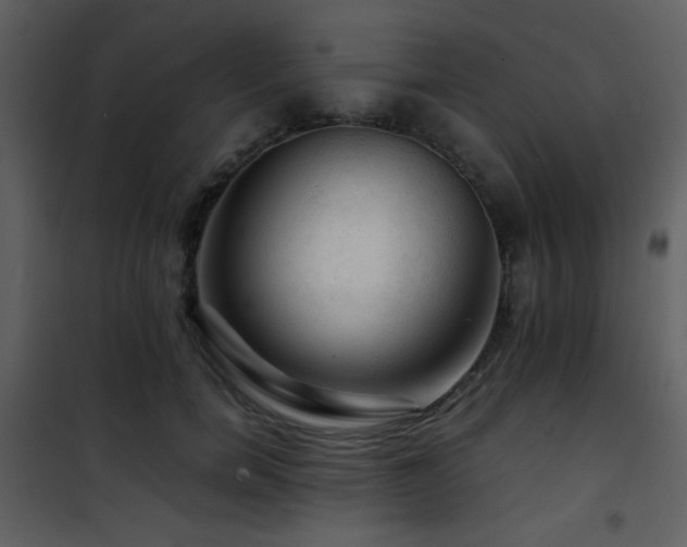 X0000101960750200807181040