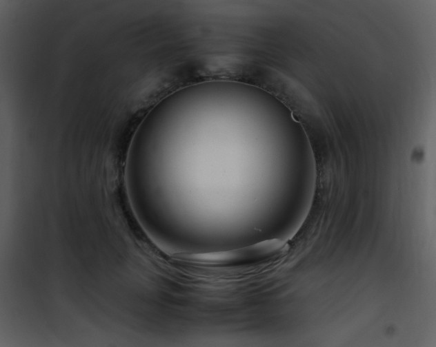 X0000101960751200807181040