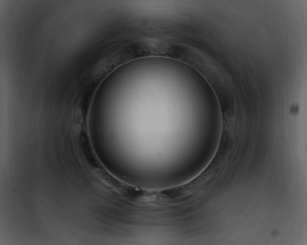 X0000101960752200807181040