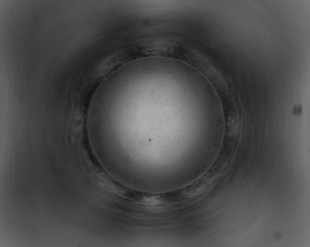 X0000101960753200807181040
