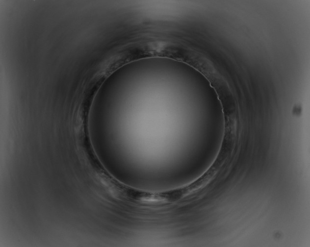 X0000101960754200807181040