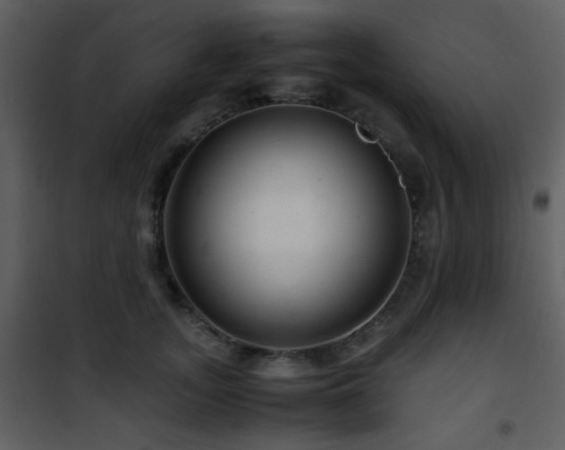 X0000101960755200807181040