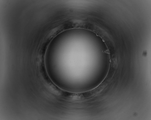 X0000101960756200807181040