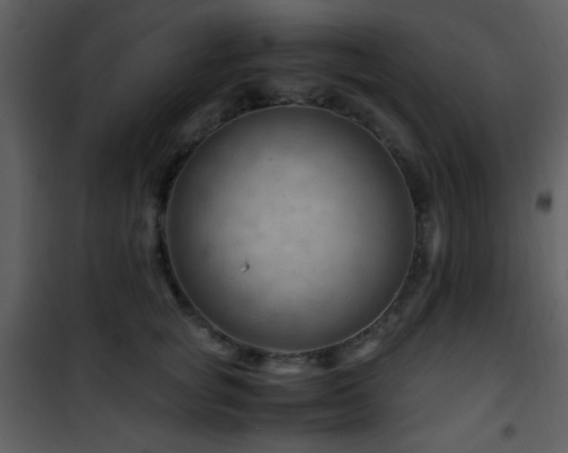 X0000101960757200807181040