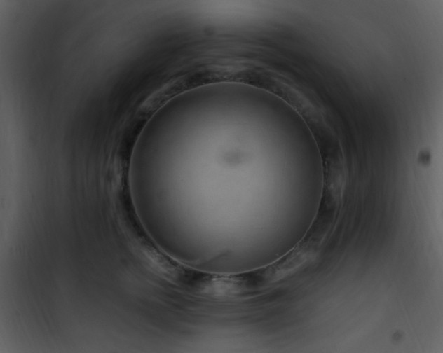 X0000101960758200807181040