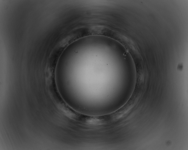 X0000101960759200807181040