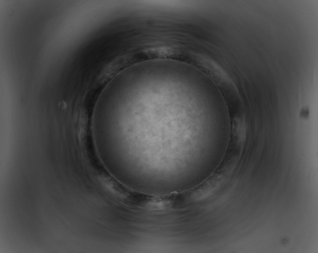 X0000101960760200807181040