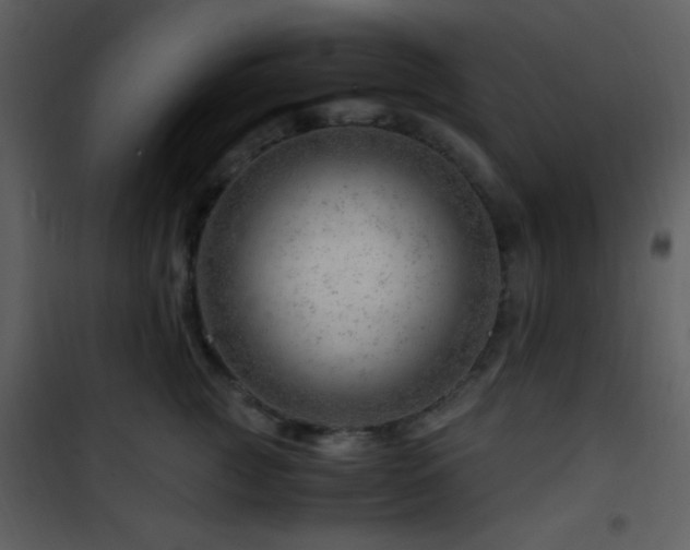 X0000101960761200807181040