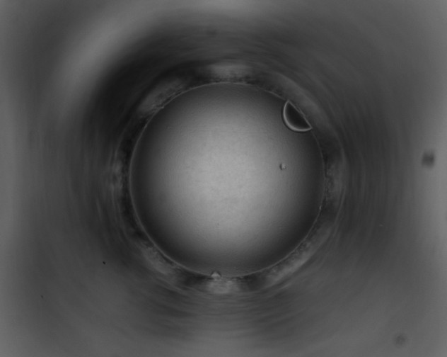 X0000101960762200807181040