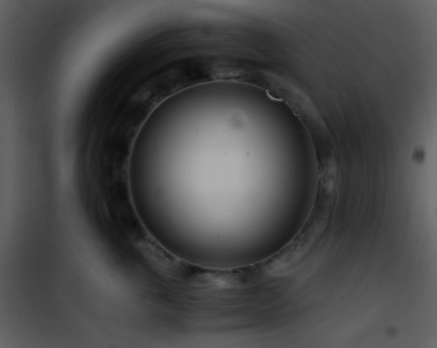 X0000101960763200807181040