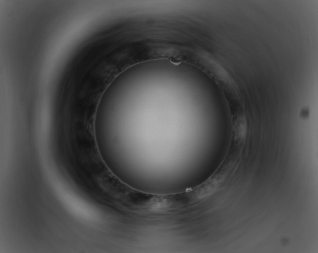 X0000101960764200807181040