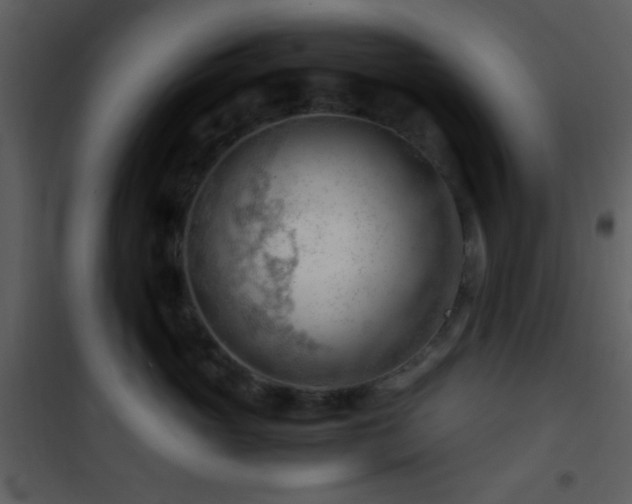 X0000101960765200807181040
