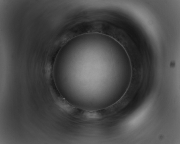 X0000101960767200807181040