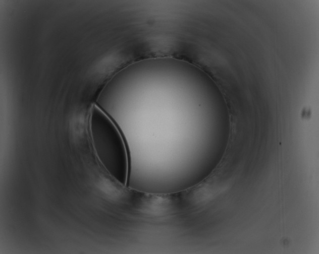 X0000101960768200807181040