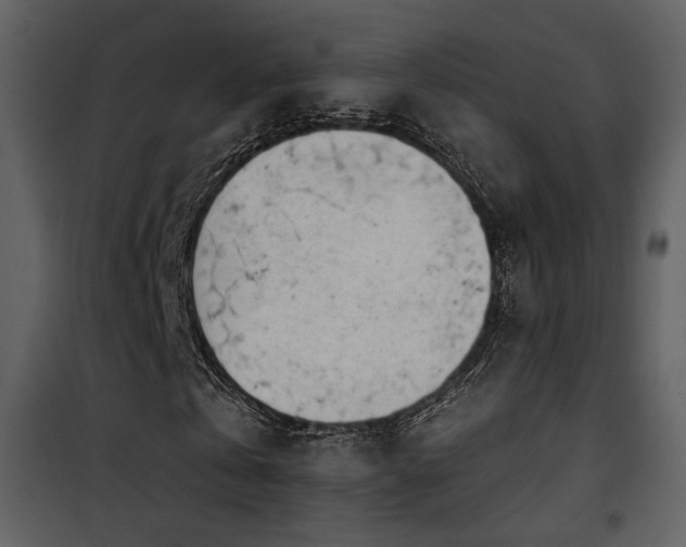 X0000101960769200807181040